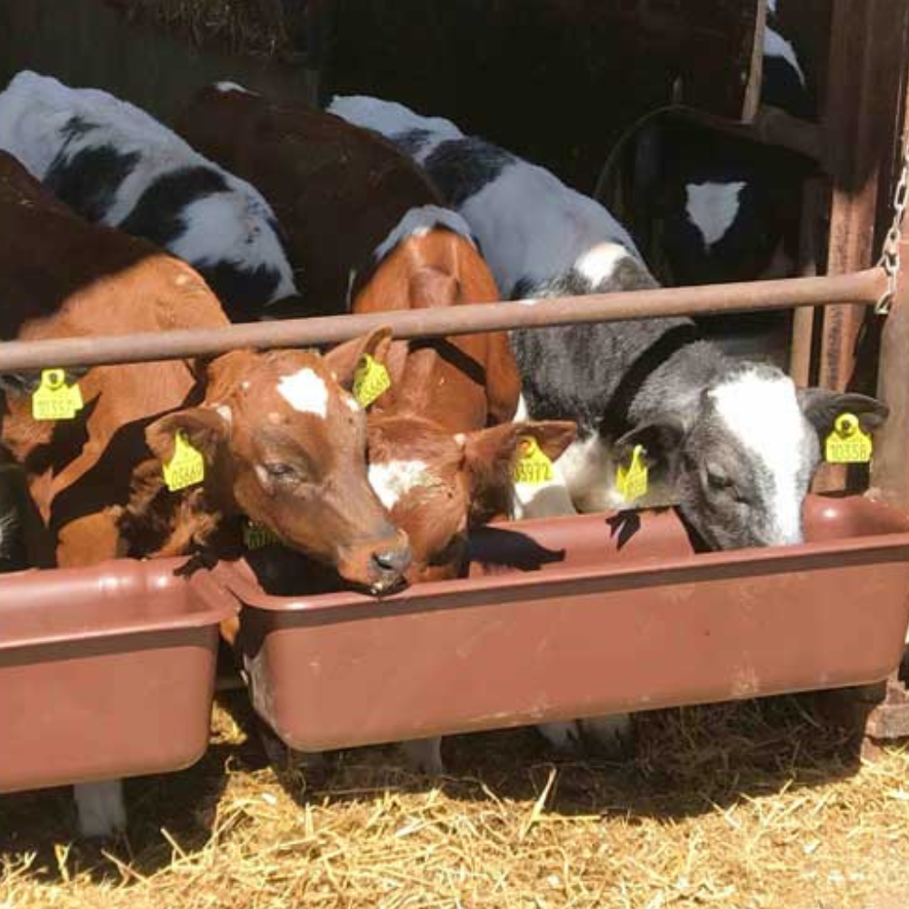 Sile 1000, uzkarināma, 42 litri